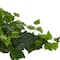 24" Green London Ivy Real Touch Artificial Ledge Plant